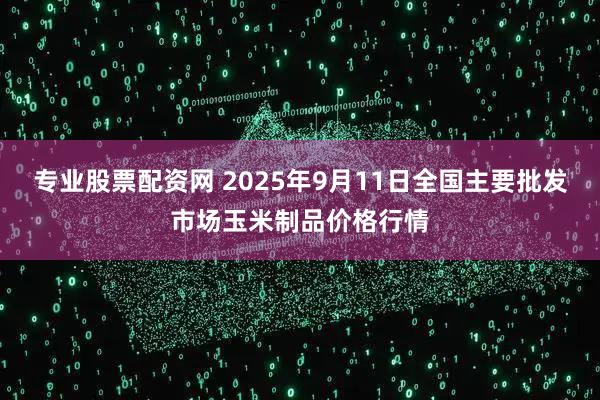 专业股票配资网 2025年9月11日全国主要批发市场玉米制品价格行情