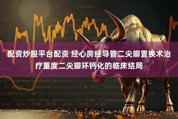 配资炒股平台配资 经心房经导管二尖瓣置换术治疗重度二尖瓣环钙化的临床结局