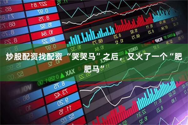 炒股配资找配资 “哭哭马”之后，又火了一个“肥肥马”