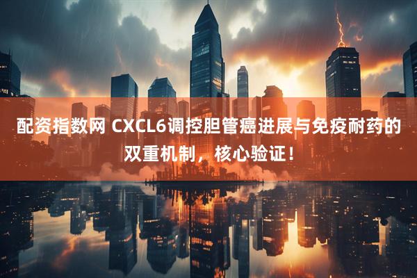 配资指数网 CXCL6调控胆管癌进展与免疫耐药的双重机制，核心验证！